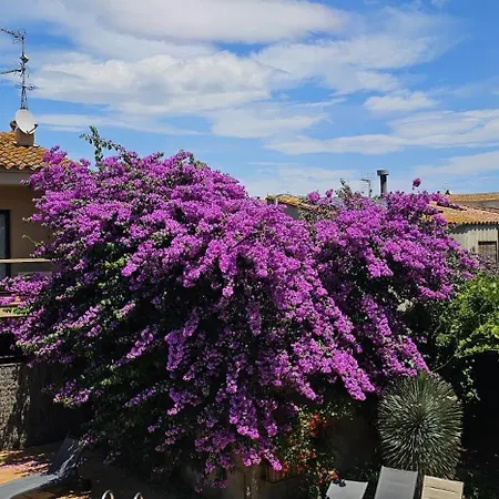 Casa Deluxe Alt Empordà Costa Brava - Private Swimming Pool * Vilabertrán
